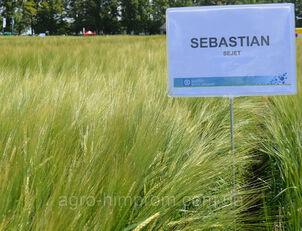 Spring Barley Seeds / Sebastian Spring Barley Seeds (СН-1) 1 reprodukcija